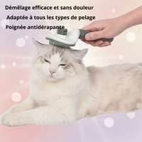 Brosse Démêlante pour Chien et Chat qui Perdent leurs Poils - Anti-Mue