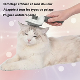 Brosse Démêlante pour Chien et Chat qui Perdent leurs Poils - Anti-Mue