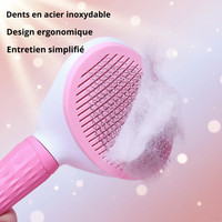 Brosse Démêlante pour Chien et Chat qui Perdent leurs Poils - Anti-Mue