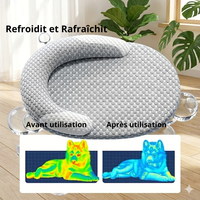 Infographie thermique montrant l'effet rafraîchissant d'un tapis pour chien avant utilisation (zones rouges et chaudes) et après utilisation (zones bleues refroidies) avec le texte "Refroidit et Rafraîchit".