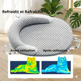 Infographie thermique montrant l'effet rafraîchissant d'un tapis pour chien avant utilisation (zones rouges et chaudes) et après utilisation (zones bleues refroidies) avec le texte "Refroidit et Rafraîchit