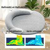 Infographie thermique montrant l'effet rafraîchissant d'un tapis pour chien avant utilisation (zones rouges et chaudes) et après utilisation (zones bleues refroidies) avec le texte "Refroidit et Rafraîchit".