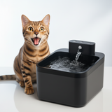 Fontaine à eau sans fil pour chat avec capteur intelligent et batterie rechargeable
