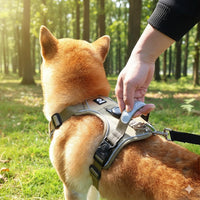 Happy Animalia beige dog harness with integrated AirTag holder and reflective trim, adjustable straps, and leash clip.