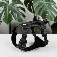 Happy Animalia black nylon anti-traction dog harness with integrated AirTag holder and reflective trim.