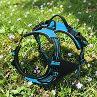 Happy Animalia blue and black anti-traction dog harness with padded chest strap and adjustable buckles.
