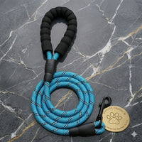 Laisse en nylon tressé bleu pour chien Happy Animalia avec poignée rembourrée et bande réfléchissante pour les promenades nocturnes en toute sécurité.