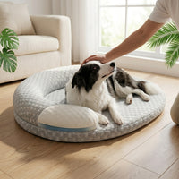 Chien border collie allongé sur un coussin rafraîchissant nid orthopédique Happy Animalia, soie glacée et mémoire de forme, dans un salon lumineux