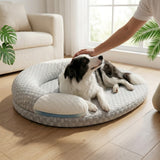 Chien border collie allongé sur un coussin rafraîchissant nid orthopédique Happy Animalia, soie glacée et mémoire de forme, dans un salon lumineux