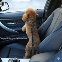 Happy Animalia adjustable black nylon dog car seat belt with elastic shock absorption for safe travel.