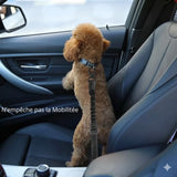 Happy Animalia adjustable black nylon dog car seat belt with elastic shock absorption for safe travel.