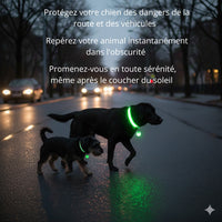 Happy Animalia green LED dog collar, rechargeable and waterproof, for safe night walks. Visible up to 100m.
