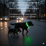 Happy Animalia green LED dog collar, rechargeable and waterproof, for safe night walks. Visible up to 100m.