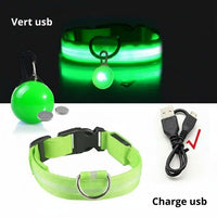 Happy Animalia green LED dog collar with USB charging and luminous pendant for night walks