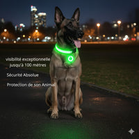 Collier pour chien Happy Animalia avec pendentif et LED verte, rechargeable et étanche, pour les promenades nocturnes et une visibilité jusqu'à 100 m.