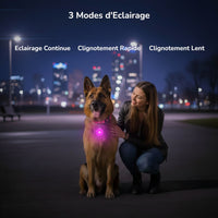 Happy Animalia pink LED dog collar with pendant, offering 3 lighting modes for night walk safety. Rechargeable and waterproof.