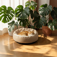 Chat roux endormi dans un lit orthopédique rond Happy Animalia beige, posé sur un parquet en bois baigné de lumière naturelle, entouré de plantes monstera.