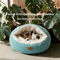 Chiot endormi dans un lit orthopédique rond Happy Animalia bleu canard avec capuche et intérieur en peluche blanche, entouré de plantes monstera.