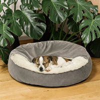 Chien endormi dans un lit orthopédique rond Happy Animalia gris avec capuche et intérieur en peluche blanche, posé sur un parquet en bois entouré de plantes monstera.