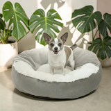 Petit chien souriant installé dans un lit orthopédique rond Happy Animalia gris, intérieur en peluche blanche, entouré de plantes vertes.