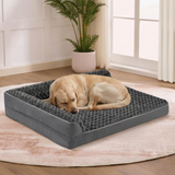 Chien labrador dormant sur un lit orthopédique Happy Animalia gris en mousse à mémoire de forme avec rebords