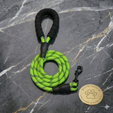 Laisse en nylon tressé vert pour chien Happy Animalia avec bande réfléchissante, poignée rembourrée et fermoir en métal. walks.