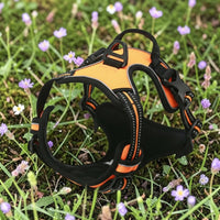 Happy Animalia orange and black anti-traction dog harness with reflective trim and padded chest strap.