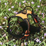 Happy Animalia orange and black anti-traction dog harness with reflective trim and padded chest strap.