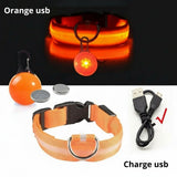 Happy Animalia orange LED dog collar with USB charging and multiple light modes for night safety.