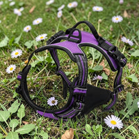 Happy Animalia purple anti-traction dog harness with adjustable straps and padded chest for comfort and control.