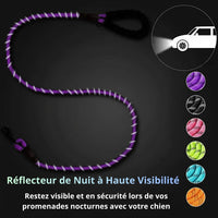 Happy Animalia purple braided nylon dog leash with reflective strips and padded handle for night walks.