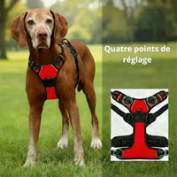 Happy Animalia red anti-traction dog harness with adjustable straps and padded chest for comfort and control.
