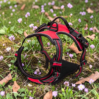Happy Animalia red and black anti-traction dog harness with adjustable straps and padded handle.