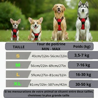 Happy Animalia anti-traction dog harness in red, designed for small to medium dogs, with adjustable straps and padded chest for comfort.