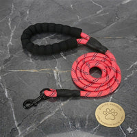 Laisse en nylon tressé rose pour chien Happy Animalia avec bande réfléchissante, poignée rembourrée et fermoir en métal.