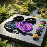 Laisse réfléchissante pour chien Happy Animalia violette et noire avec poignée rembourrée et fermoir en métal, présentée parmi plusieurs coloris de laisses posés sur des pierres.