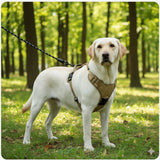 Happy Animalia tan anti-traction dog harness with integrated AirTag holder and leash, on a yellow lab.