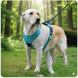 Happy Animalia teal dog harness with AirTag holder and reflective strips, adjustable straps, and padded chest.