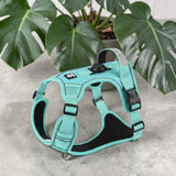 Happy Animalia teal anti-traction dog harness with integrated AirTag holder and reflective trim. Adjustable straps for secure fit.