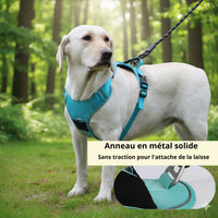 Happy Animalia turquoise anti-traction dog harness with integrated AirTag holder and reflective strips for visibility.
