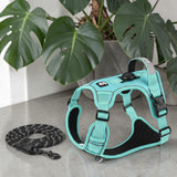 Happy Animalia turquoise anti-traction dog harness with integrated AirTag holder and reflective strips. Includes matching leash.