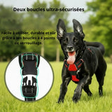 Harnais anti-traction rouge et noir Happy Animalia pour chien, avec boucles de sécurité, conçu pour le confort et le contrôle lors des promenades.