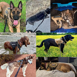 Harnais tactique 5 en 1 beige nylon Happy Animalia avec sangles ajustables et système MOLLE pour grand chien.