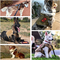 Harnais tactique beige nylon Happy Animalia avec système MOLLE, sangles ajustables et doublure rembourrée — idéal pour grand chien Berger Allemand et Malinois.