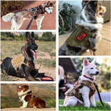 Harnais tactique beige nylon Happy Animalia avec système MOLLE, sangles ajustables et doublure rembourrée — idéal pour grand chien Berger Allemand et Malinois.