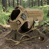 Harnais tactique beige sable Happy Animalia avec laisse bungee assortie, posés sur une souche en forêt — kit complet pour grand chien.