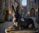 Harnais tactique noir Happy Animalia avec patch  gilet nylon ajustable pour grand chien Malinois.