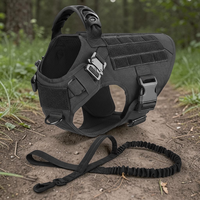 Harnais tactique noir Happy Animalia avec laisse bungee assortie, posés en forêt — kit complet pour grand chien.