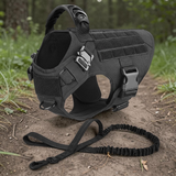 Harnais tactique noir Happy Animalia avec laisse bungee assortie, posés en forêt — kit complet pour grand chien.