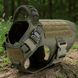 Harnais tactique pour grand chien vert militaire Happy Animalia avec poignée de contrôle, boucles robustes et panneau MOLLE, posé en forêt.